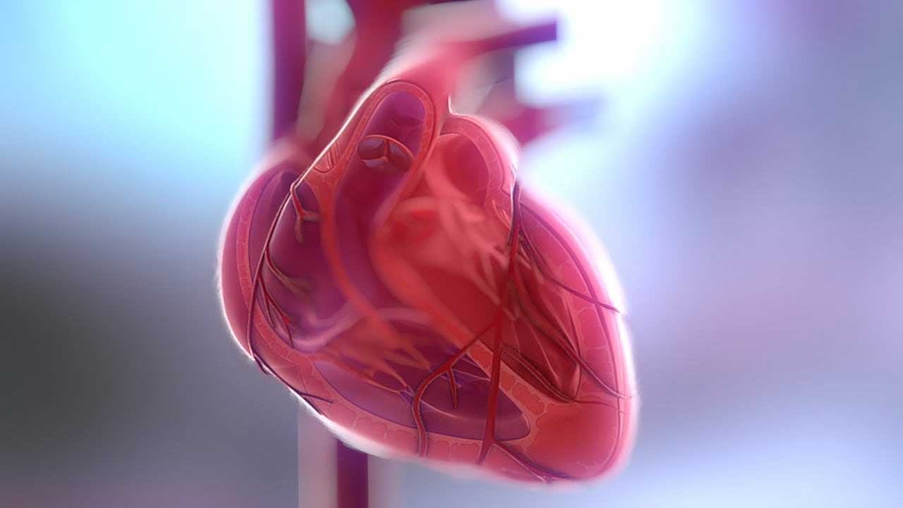 Καρδιά- Καρδιολόγος - Δεληγεώργης Αλέξανδρος - Παλαιό Φάληρο